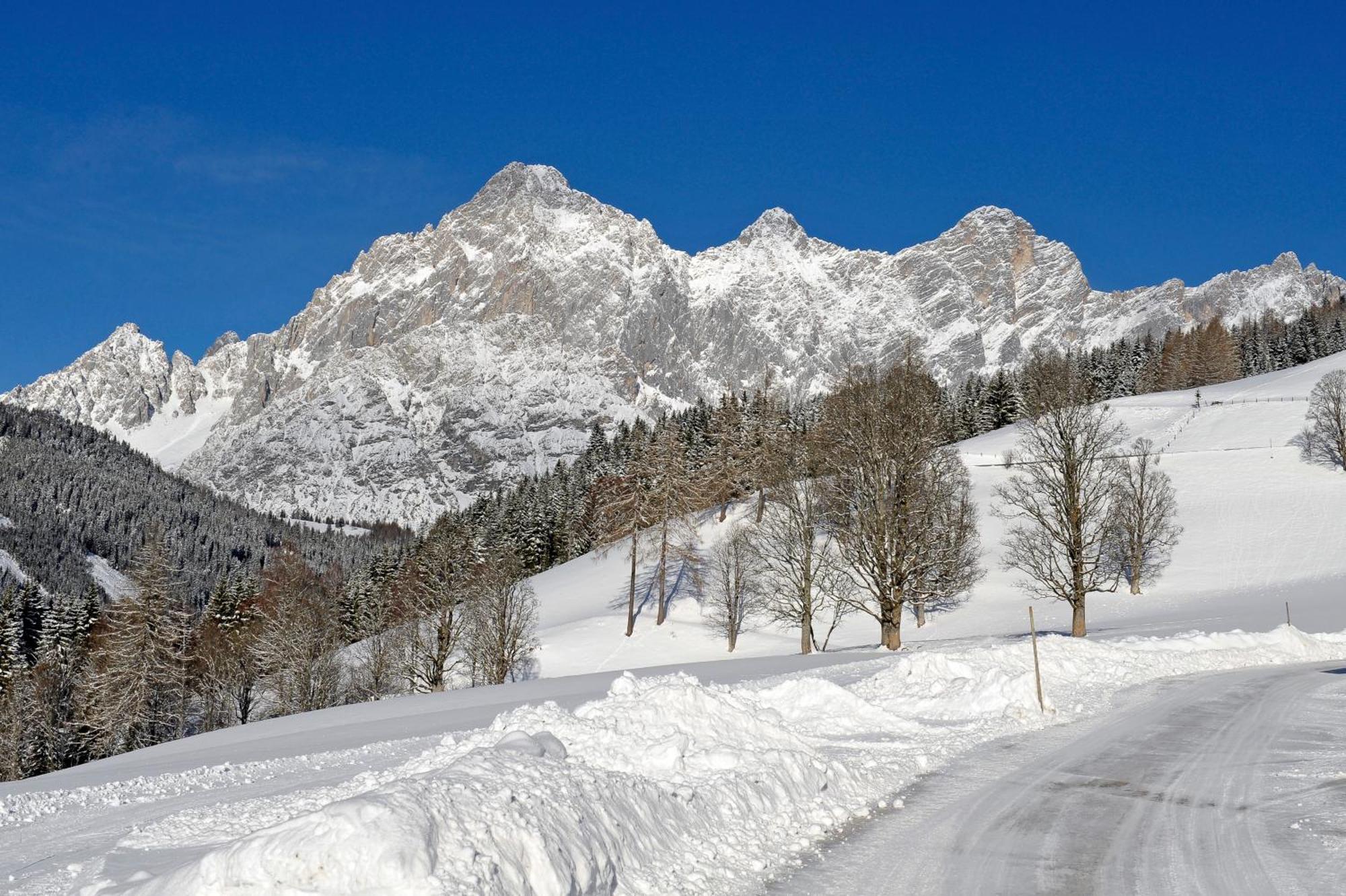 Bergerhof Hotel Ramsau am Dachstein Eksteriør billede