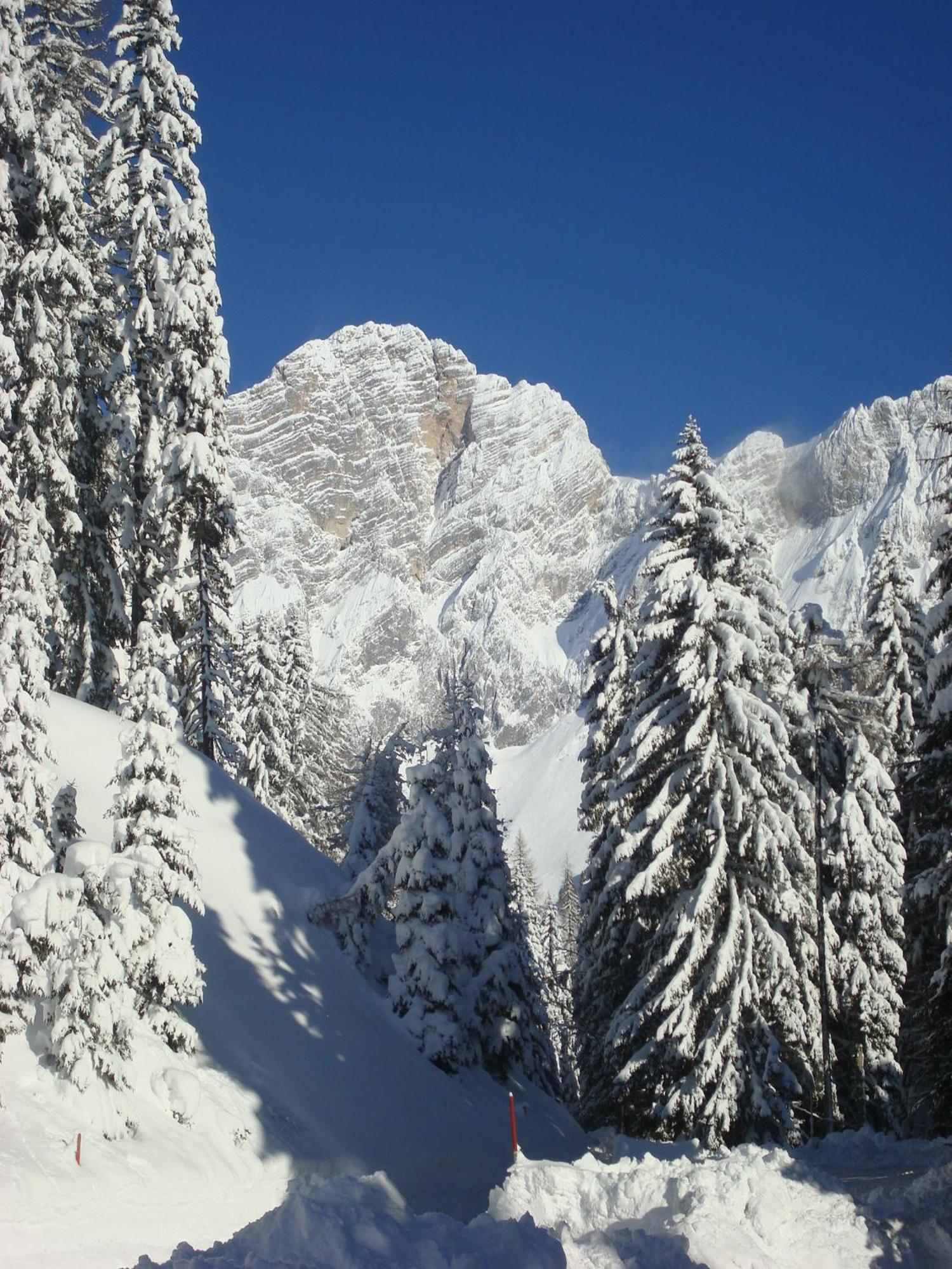 Bergerhof Hotel Ramsau am Dachstein Eksteriør billede