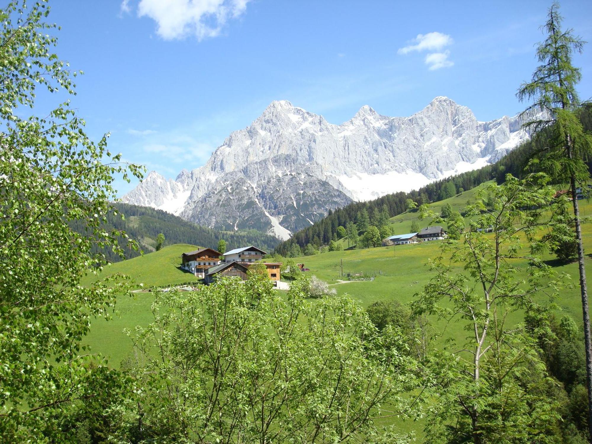 Bergerhof Hotel Ramsau am Dachstein Eksteriør billede